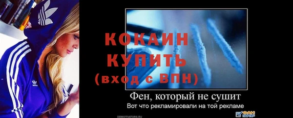 PSILOCYBIN Аркадак