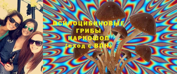 МДПВ Алексеевка