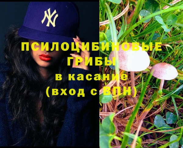 сатива Армянск