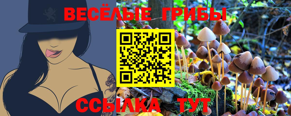 Псилоцибиновые грибы мицелий Набережные Челны